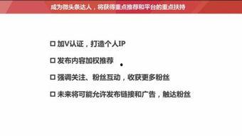 头条粉丝分组怎么建,打造个性化内容，提升互动与转化
