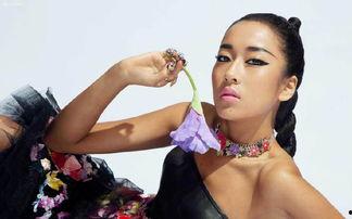 亚洲明星王坎迪,亚洲明星的璀璨之路