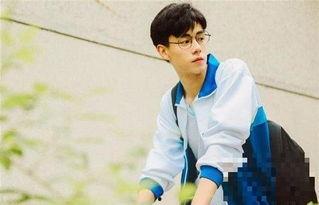 明星小说授衔,明星小说中的荣耀授衔传奇