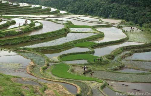 今日头条农耕景象图片,田野生机盎然——今日头条农耕景象图鉴