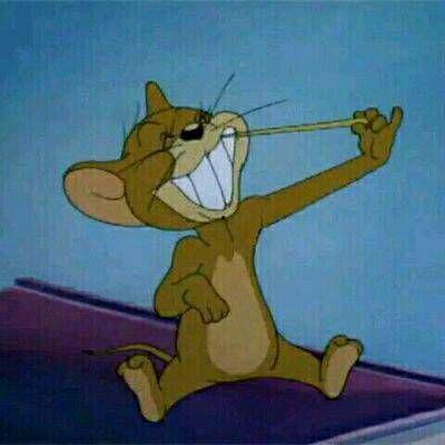 猫和老鼠明星cp名,揭秘猫和老鼠明星CP背后的甜蜜故事