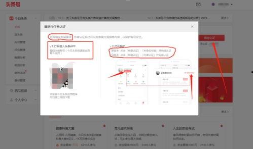头条号怎么认证加v,提升账号影响力