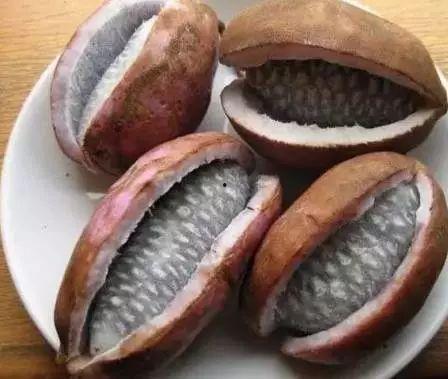 野生瓜叶可吃吗,可食用植物的探索之旅