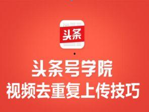 头条视频提醒,解锁生活新资讯