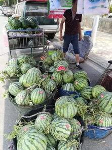 永福庄吃瓜事件