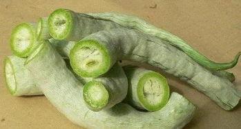 小时候吃蛇瓜,回味那蛇瓜的清香滋味