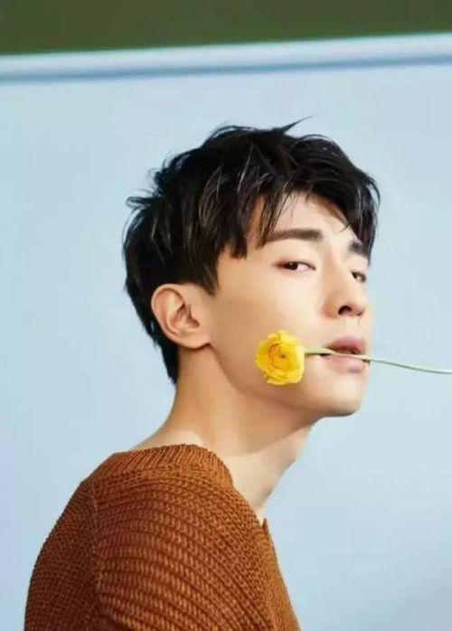 任嘉伦网红前男友面膜,揭秘明星护肤秘籍，网红男友的护肤神器