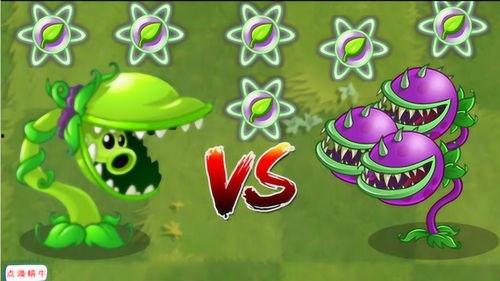 全明星vs豌豆射手,巅峰对决一触即发！