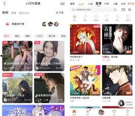 头条怎么才能收到打赏